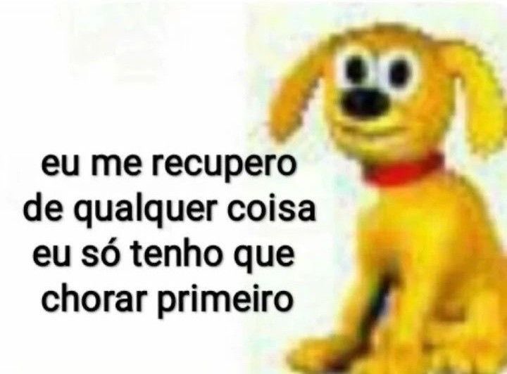 memes da vida (@memesdasuavida) on Twitter photo 