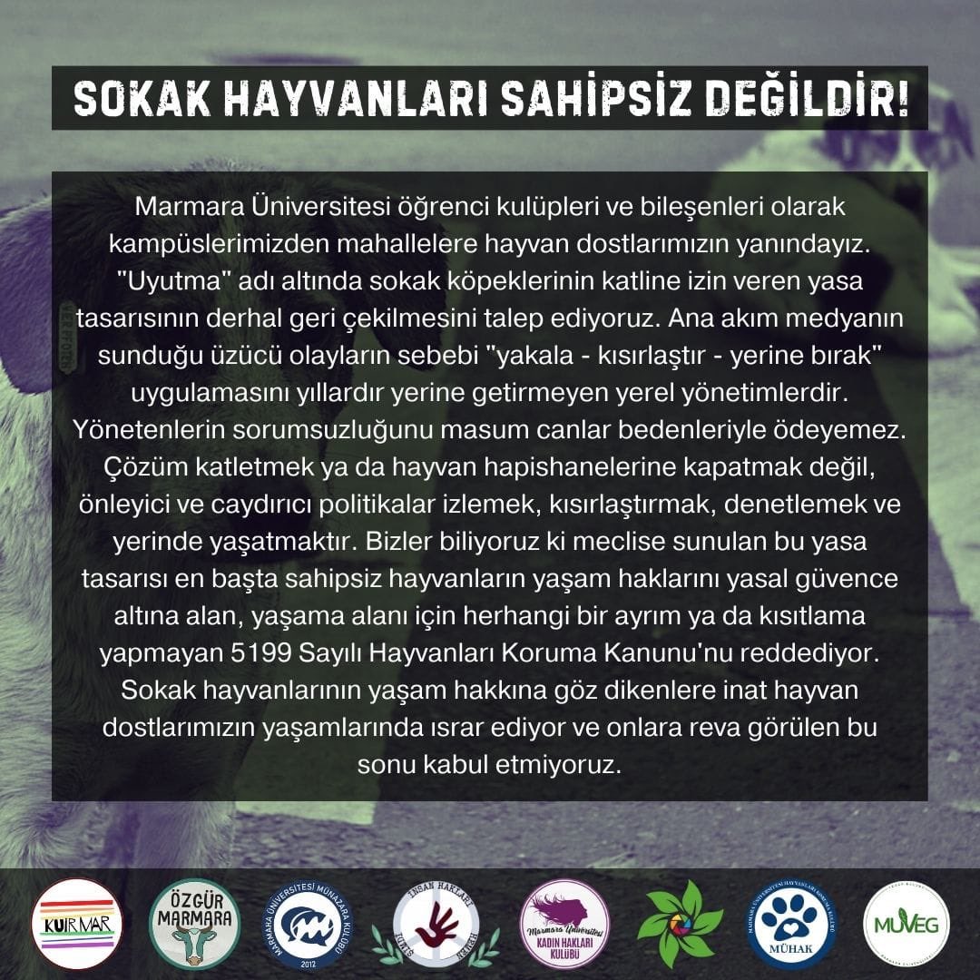 marmaravegan's tweet photo. #hayvankatliamıistemiyoruz #sokaktayımyanındayım https://t.co/kbqL5STEmc