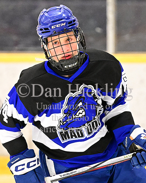 New pics of Pro Hockey Mad Dogs Hockey '10s now up on their @eliteprospects pages ... Also coming to select @_Neutral_Zone pages ... from @SuperSeries_HKY Kings of Spring - Nashville ... Check 'em out! @mhick1953 #KOSNashville