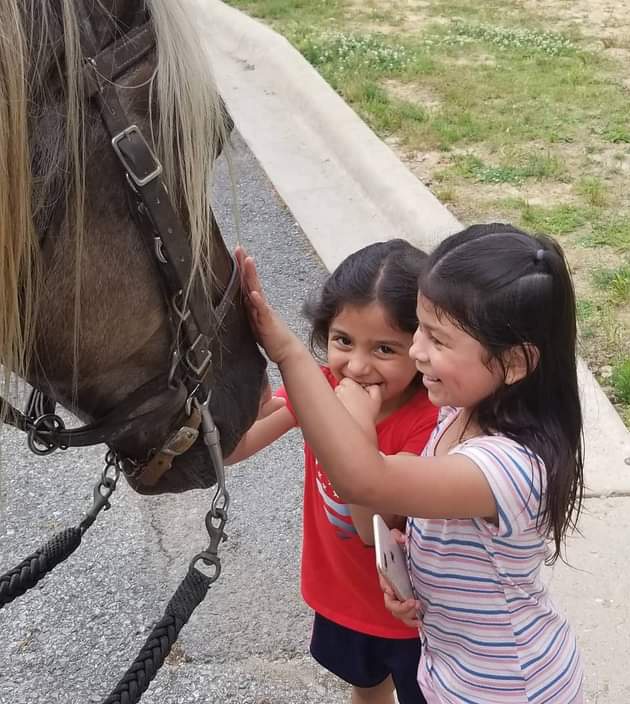 One thing we have got away from in this world is having compassion and respect. These should be our main core values between each other in friendships, relationships, the workplace, and anyone we meet. Diego Ranch Inc. is an equine assisted therapy program changing people's