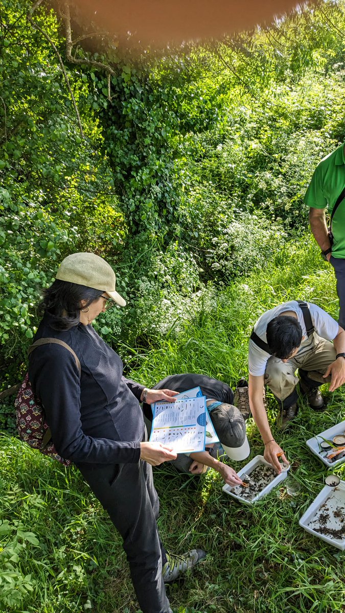 Colectivo das Pedras Galladas tweet media