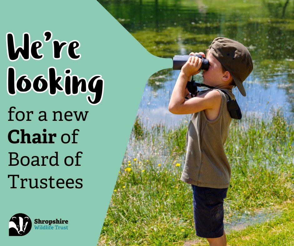 We're looking for a forward-thinking and inclusive Chair to lead our Trustee Board and support Shropshire Wildlife Trust to achieve our strategic objectives. shropshirewildlifetrust.org.uk/jobs/chair-tru…