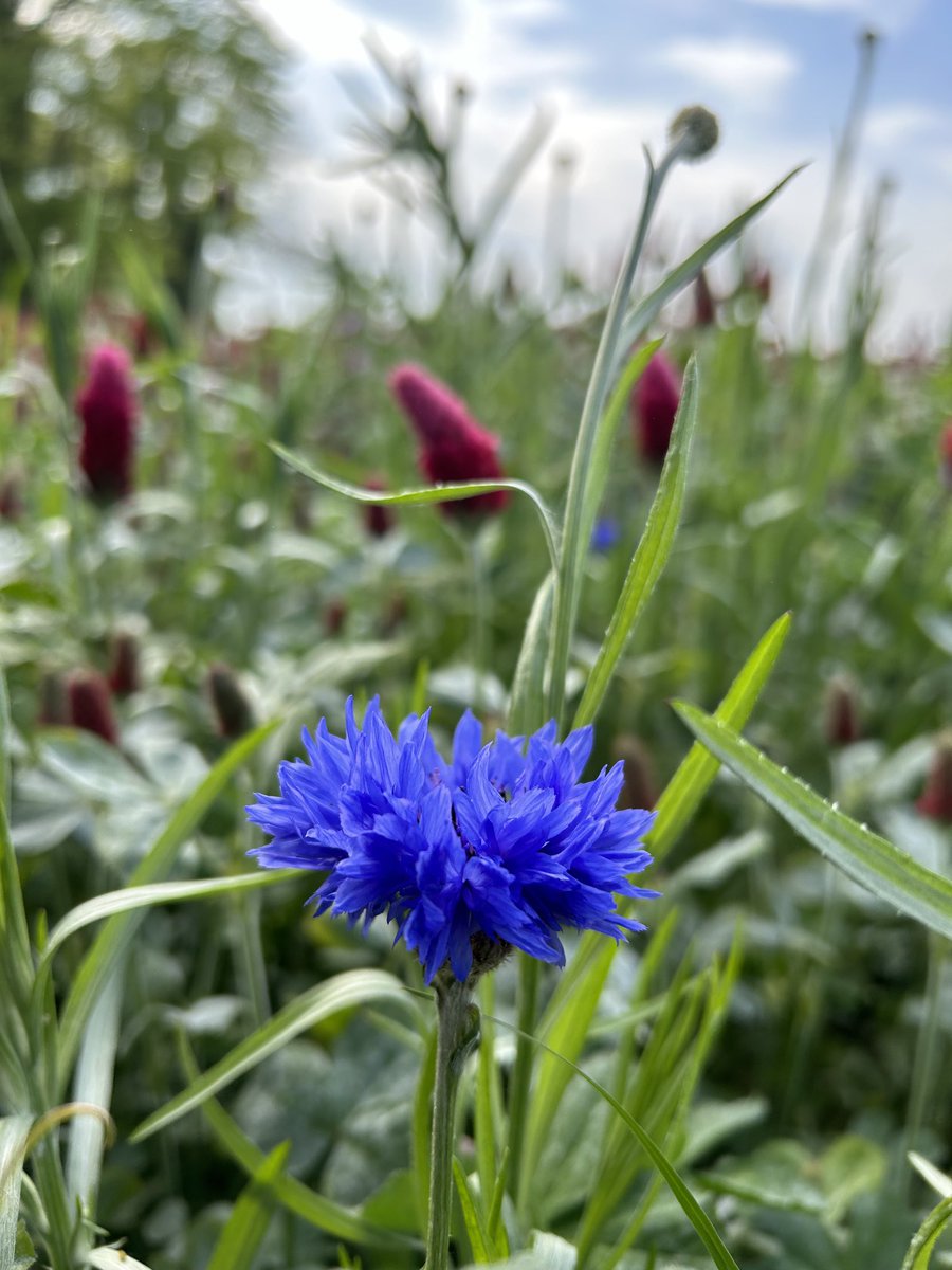 Mark Delany tweet media