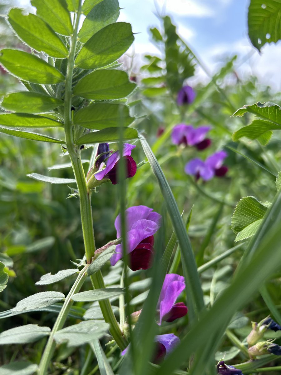 Mark Delany tweet media