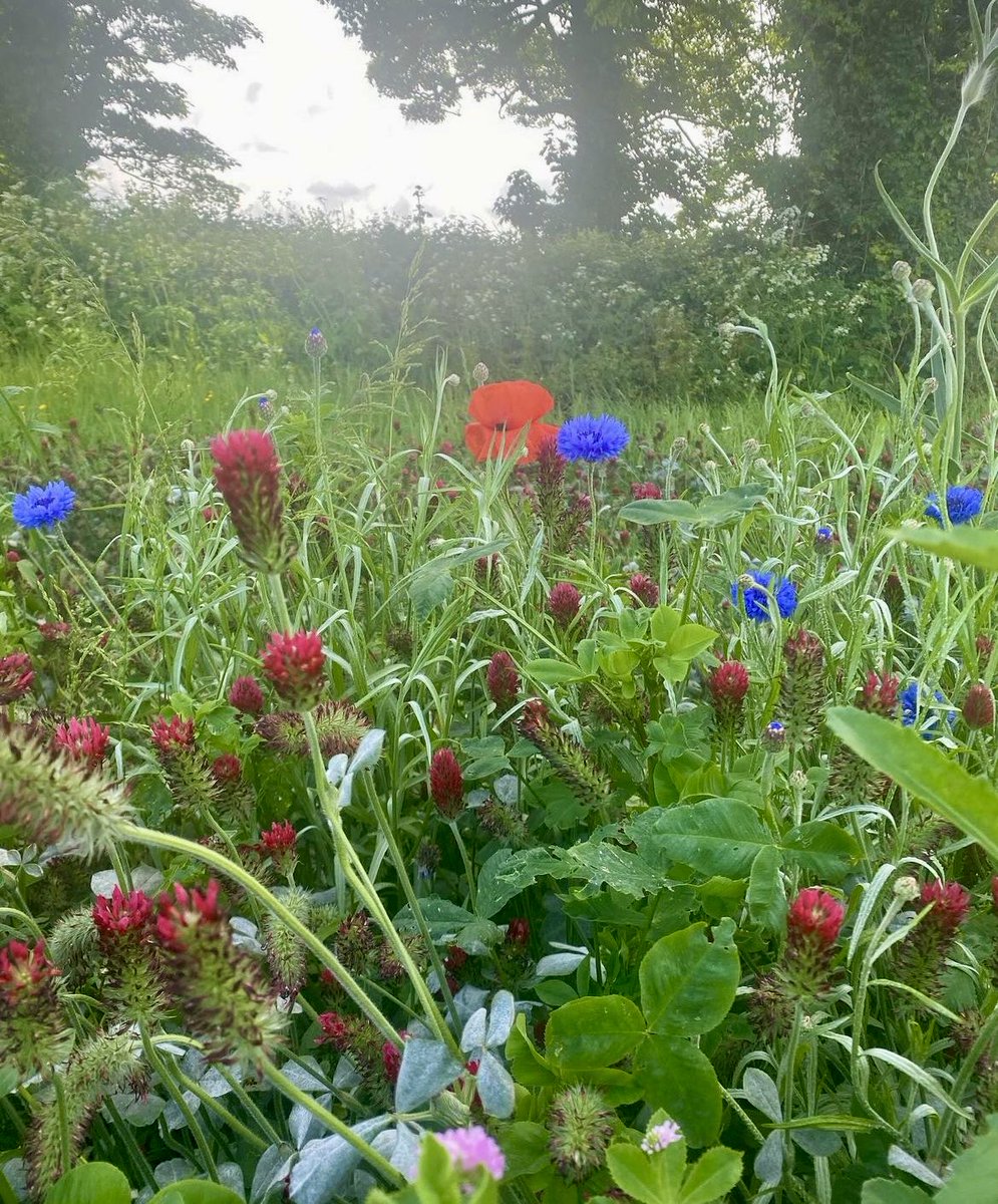 Mark Delany tweet media