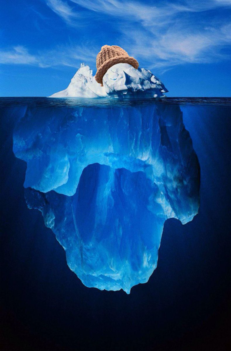 $WIF is just the beginning of the iceberg  of memecoins