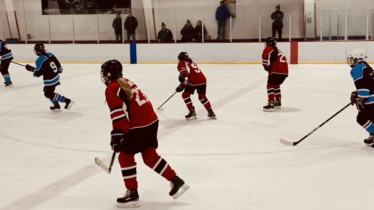 Waterford Valley Girls Hockey tweet media