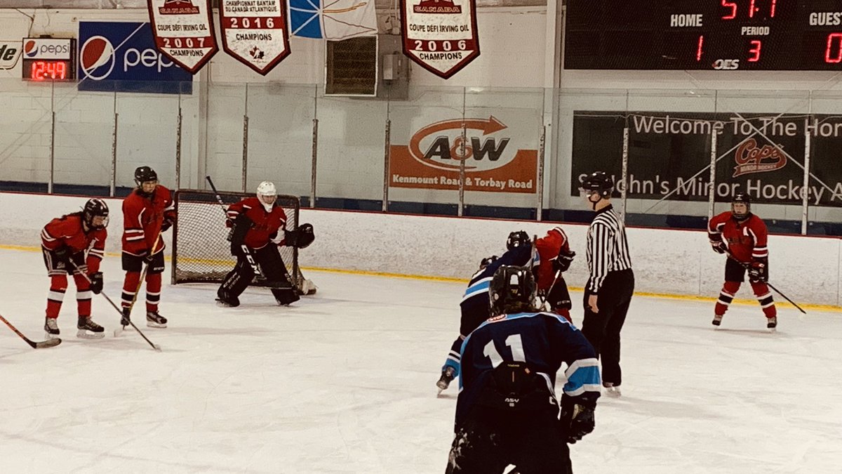 Waterford Valley Girls Hockey tweet media