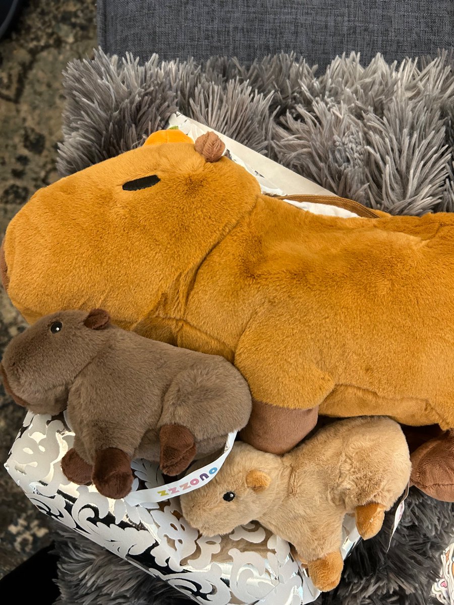 Vid Yogeswaran MD (@vidyogeswaran) on Twitter photo Thankful to ring in 31, a year with lots of transitions - aka committing to this physician scientist path, with the best Seattle and UW fam ❤️and these cute capybara from our interim chair <a href="/MC98144/">Michael Chen</a> Thankful to ring in 31, a year with lots of transitions - aka committing to this physician scientist path, with the best Seattle and UW fam ❤️and these cute capybara from our interim chair <a href="/MC98144/">Michael Chen</a>