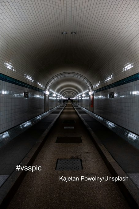 The community in the tunnel were survivors. Down here, the rock fall had trapped them, had saved them. They had water, warmth and salvaged seeds which continued to bear fruit.

But the restless 'tunnel walkers' wanted more. 

None returned.

Did they ever see the light?

#vsspic