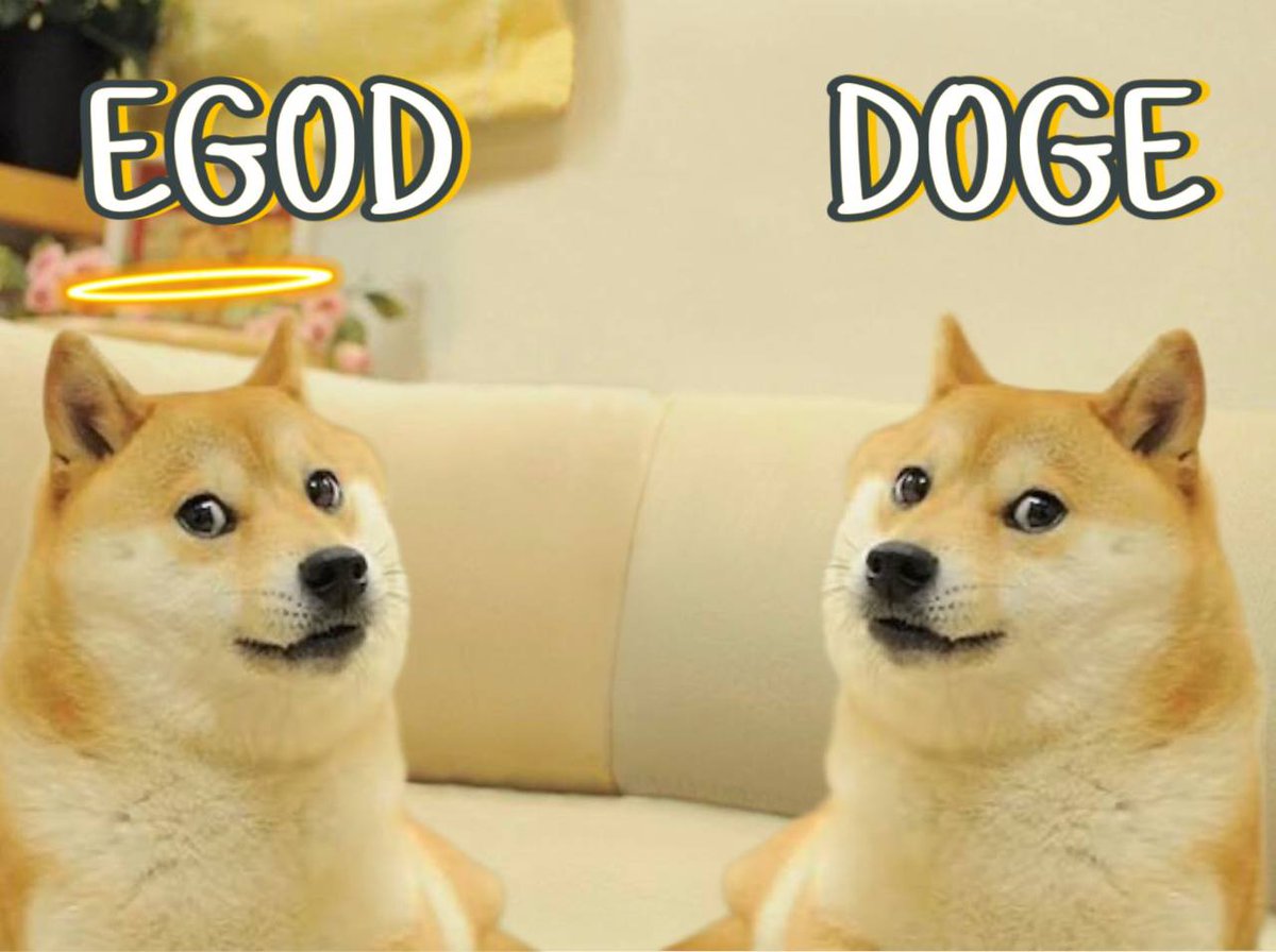 EGOD_ERC20's tweet photo. $EGOD $DOGE #1000xgem  #memecoin https://t.co/XFfEpQrFwm