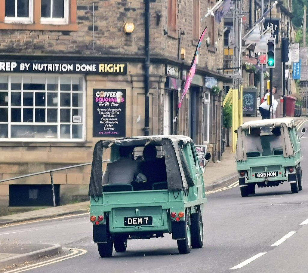 Two Haflingers in Ripponden. As you do.