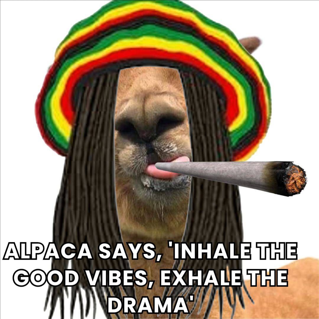 Funsized80's tweet photo. @itsFoxCrypto #ALPACMEBAGS because I'm gonna take a trip to Singapore! $WIF $BONK $SLERF $popcat  #memecoin #crypto @solana https://t.co/2RSUloIyHL