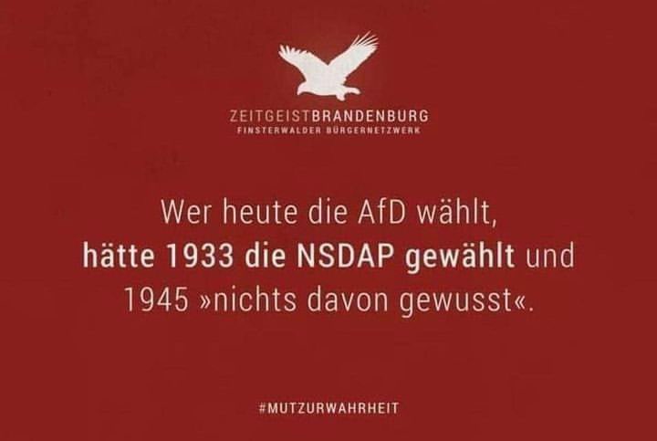 Die NSDAP hat es 1933 geschafft, mit nur 33,1 % der Stimmen, also nicht mal einem Drittel, eine Diktatur zu errichten. ▶️ Wehret den Anfängen! #AfdVerbot #NieWiederIstJetzt #Kommunalwahl #Thüringen