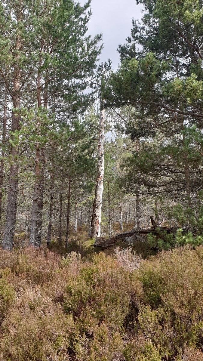 Kevin Edmondson tweet media