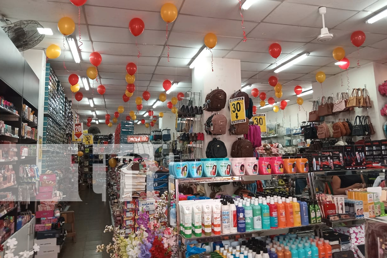 Foto: El mercado de Granada con excelente oferta para celebrar a las madres/ TN8