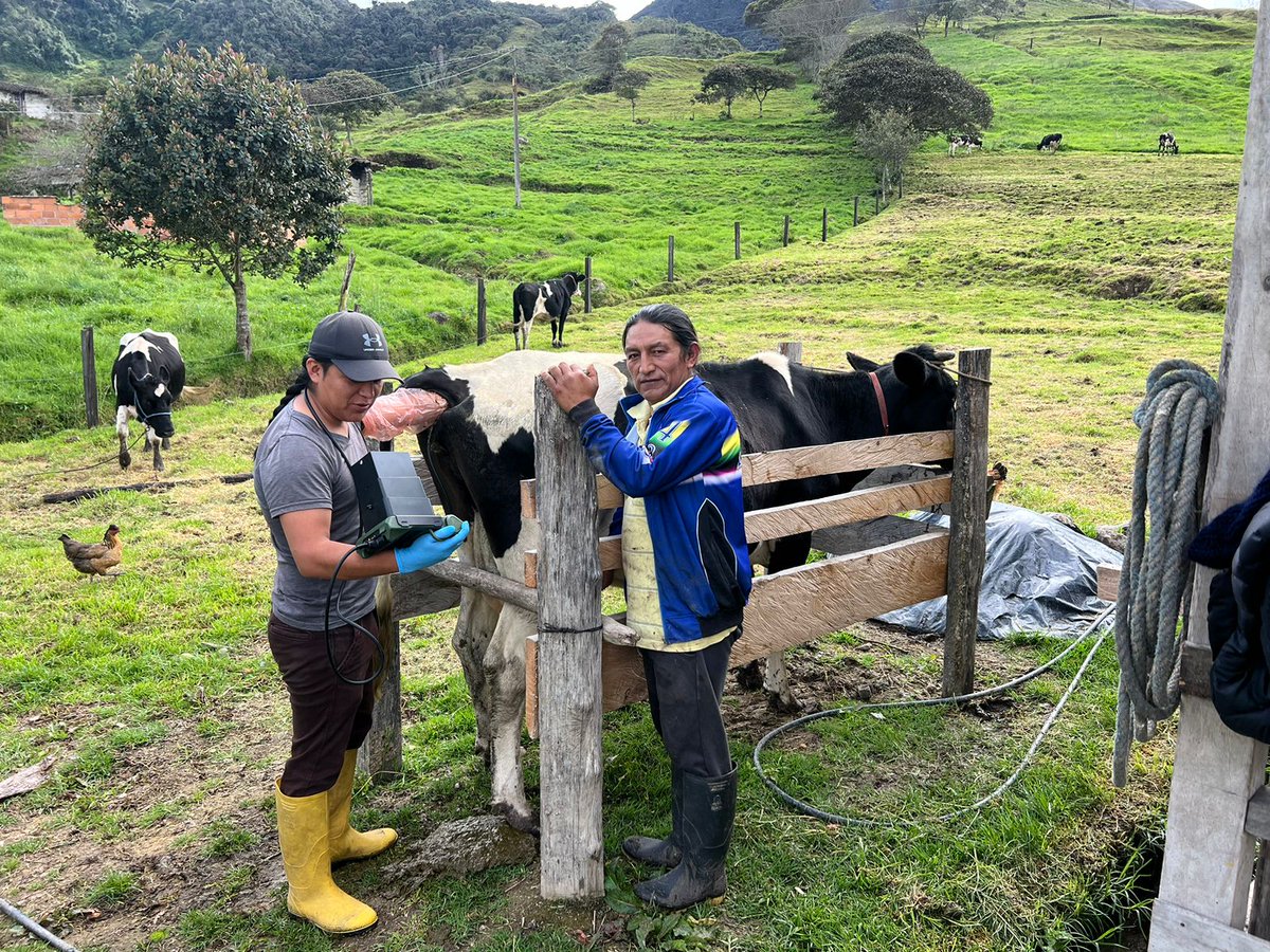 📌 #SanLucas - #LOJA
🐮 Realizamos [Diagnóstico de gestación mediante ecografía] en vacas inseminadas con protocolos de #InseminaciónArtificial a tiempo fijo.
@mariomancino 

#SabemosTrabajar