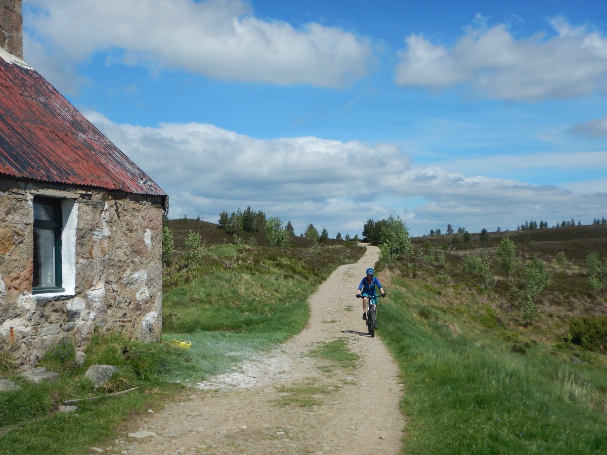 PeteCrane5's tweet photo. If you have to go shoppin' on a Saturday it's 'quite nice' to go to Aviemore via #Ryvoan, along the #OldLoggingWay and home by #SpeysideWay .... 'quite nice' in the #Cairngorms today. https://t.co/S1dBgh6DWd