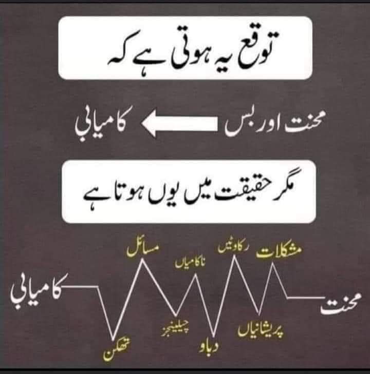 #AuroraBorealis #Sargodha #perletti