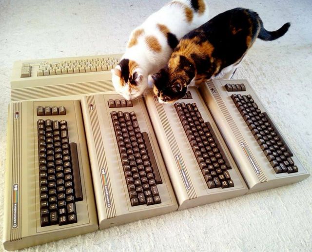 [Pic from 2018] C(at)64 Press 'Meow' to Play #Commodore #CBM #C64 #8bit #Cats #retrogaming #retrocomputer #videogames #80s #90s #Geek