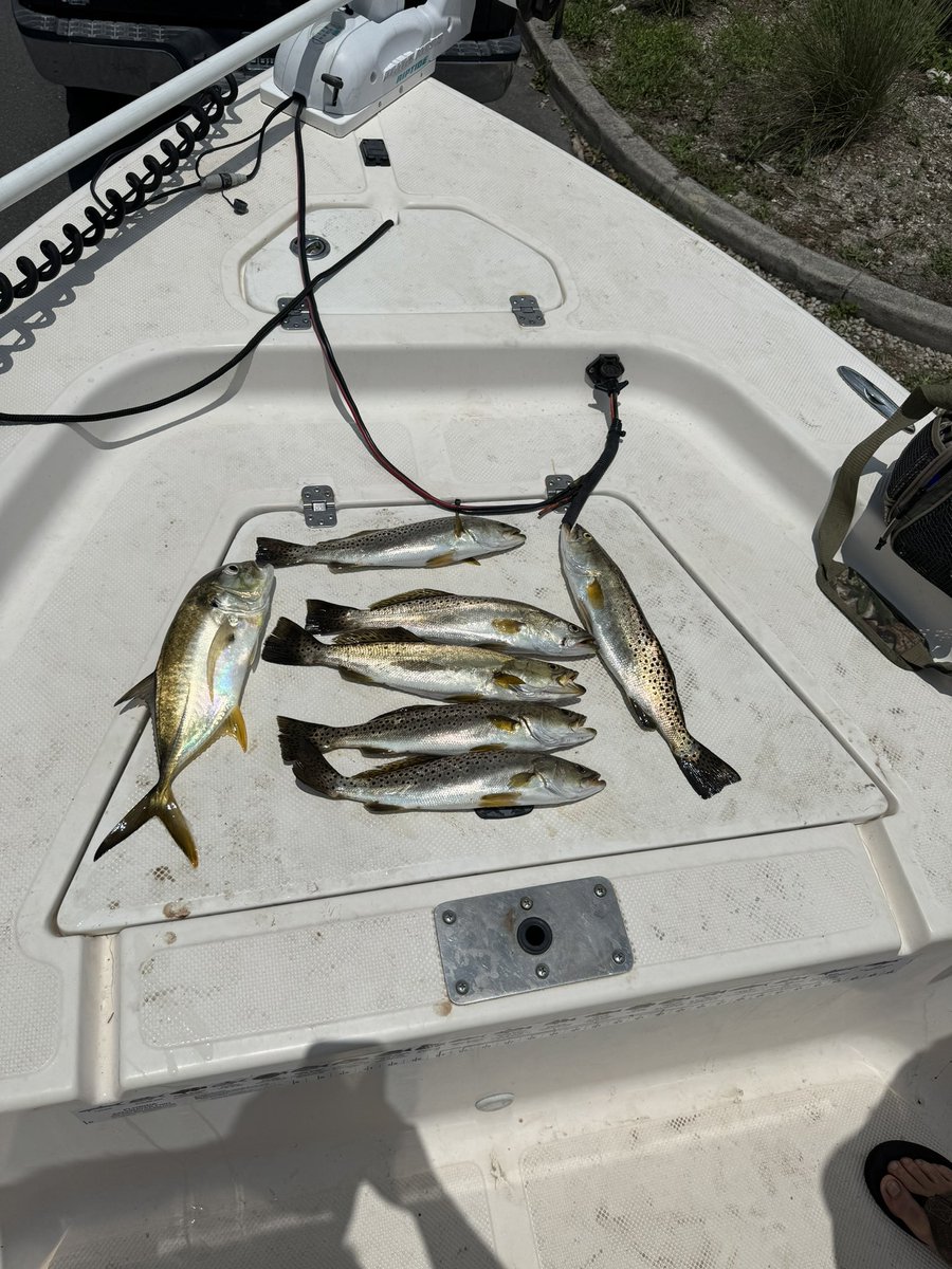 Successful day out on the water!!

6 keeper sea trout and one Jack caravelle! Caught at least 50 fish total different species between me and my buddy!! #rippinlips