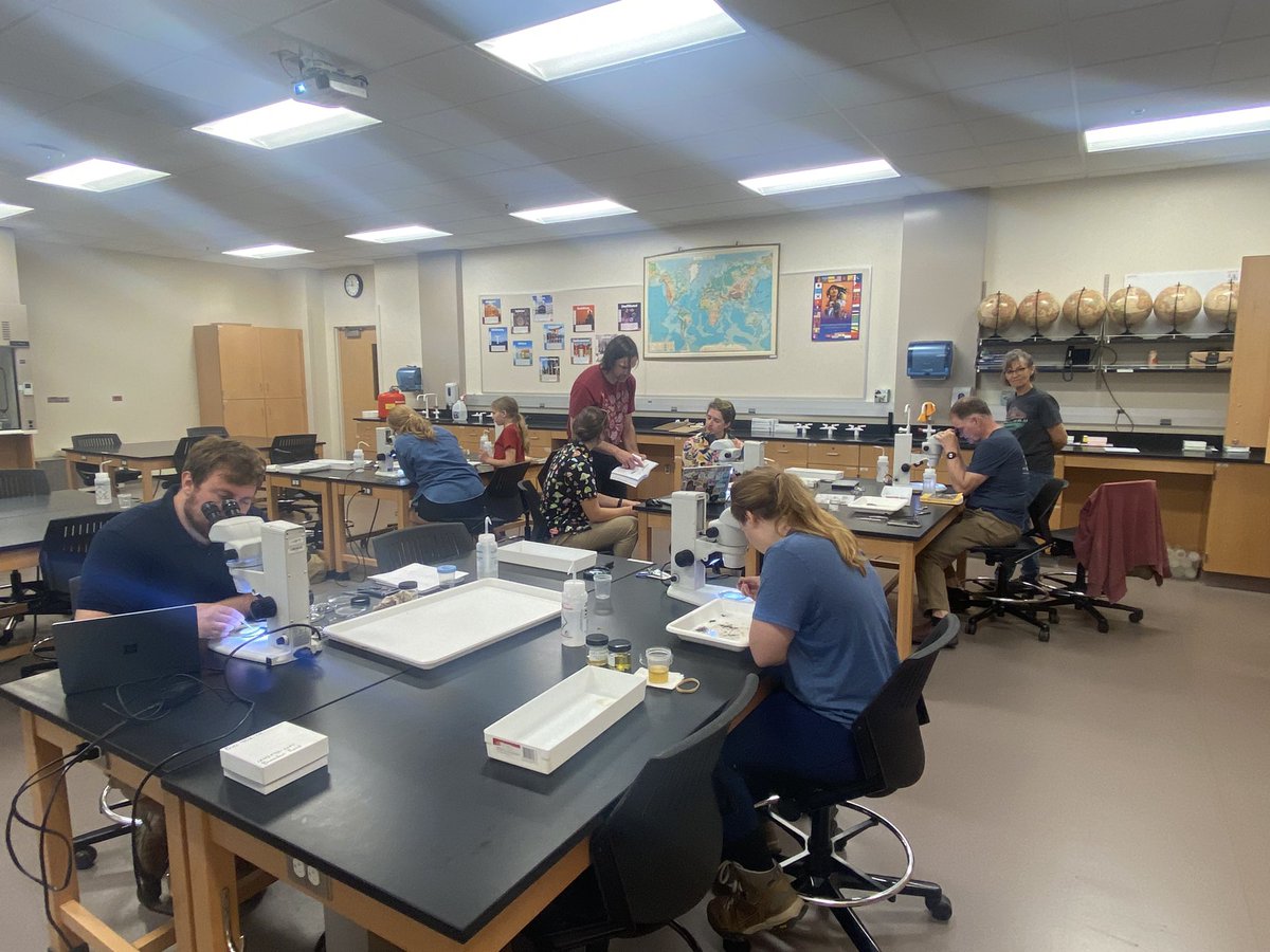 Keith Piccard tweet media