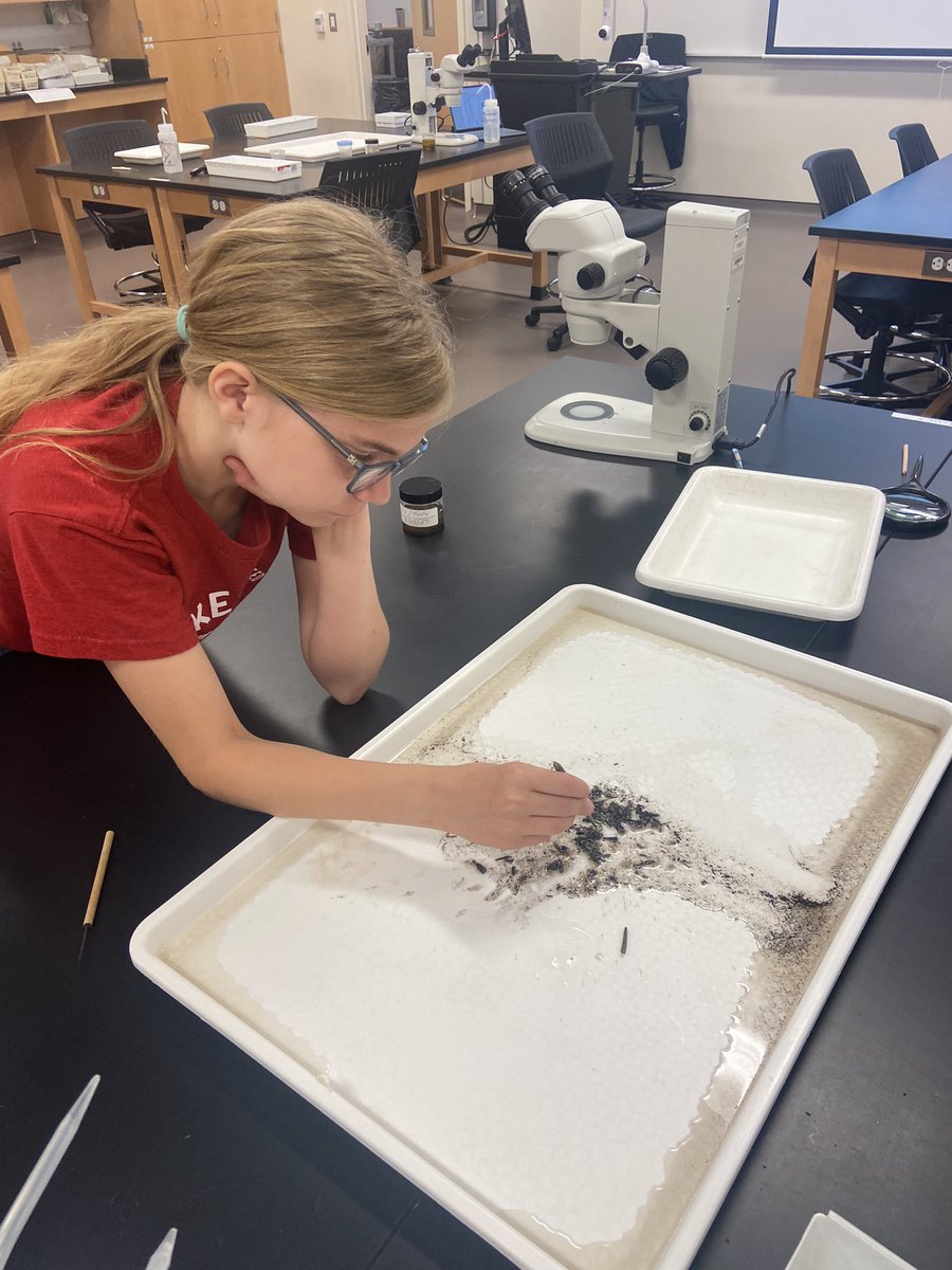 Keith Piccard tweet media