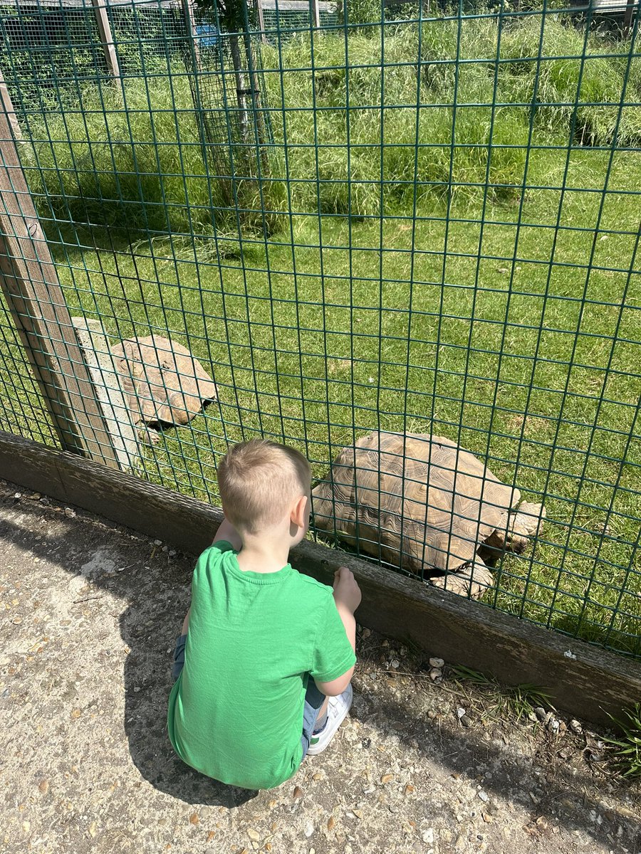 One of the best farms we’ve ever been to! Animals, indoor and outdoor soft play areas, sandpit, trampolines, musical play area, ride in car race track, bird shows, feeding shows and opportunities, chances to meet the animals, a goat race, a magician… so much more! Glorious