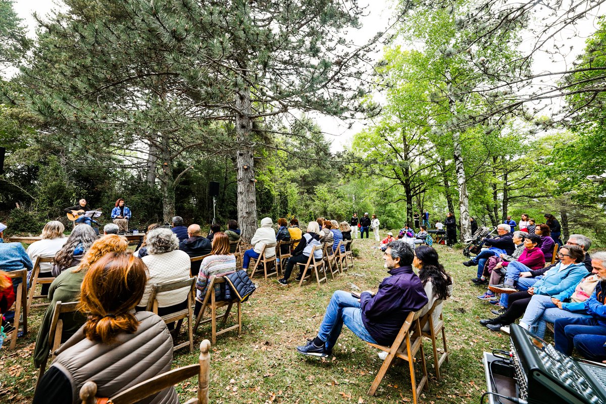 Festival Microclima tweet media