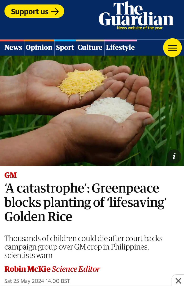 You know how DuPont dumped perfluorooctanoic acid in West Virginia landfills, knowing in-house it was highly carcinogenic and caused congenital deformities, and Todd Haynes & Mark Ruffalo made a movie about it? How is what Greenpeace has done with Golden Rice any different?