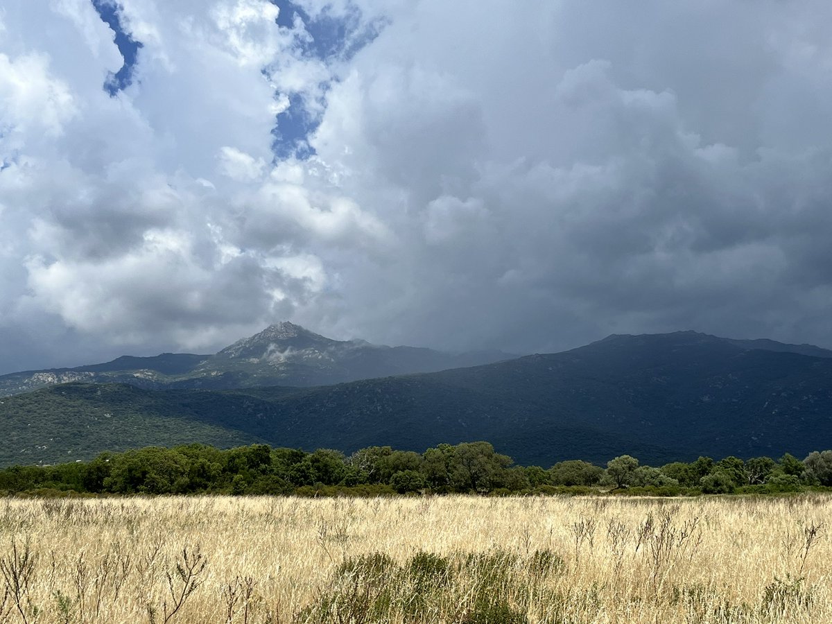 Just before the thunderstorm #cosica #travel #france