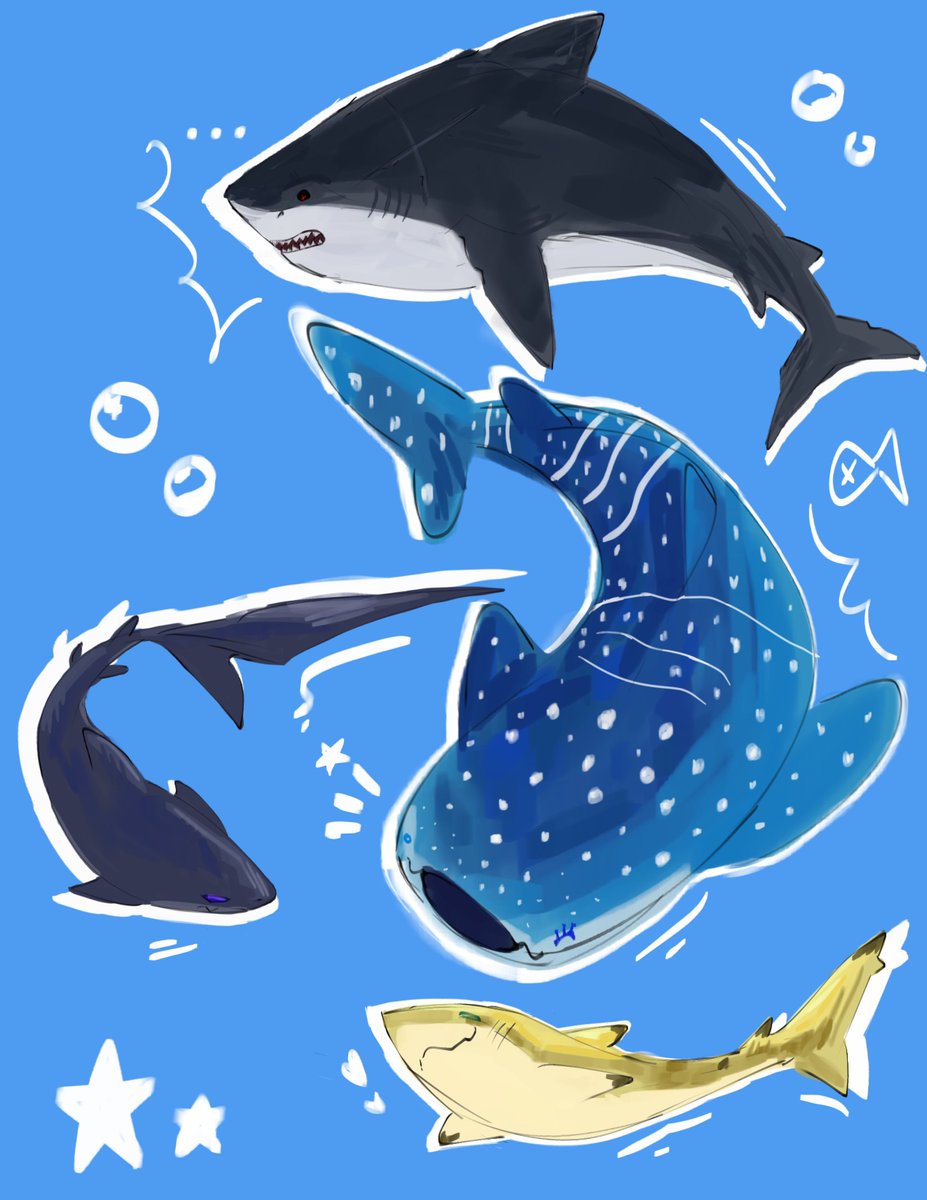 Fontaine women but they’re SHARKS  now 🦈 ❌💧🗡️🥐