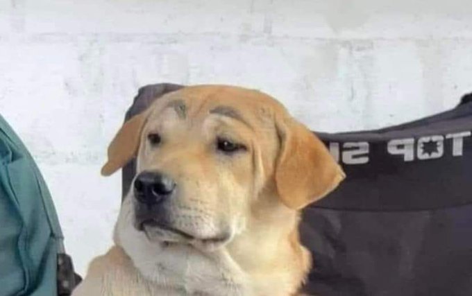 Yo viendo como el llantero avienta mis rines de aluminio al piso: https://t.co/m2bF0XC1bN