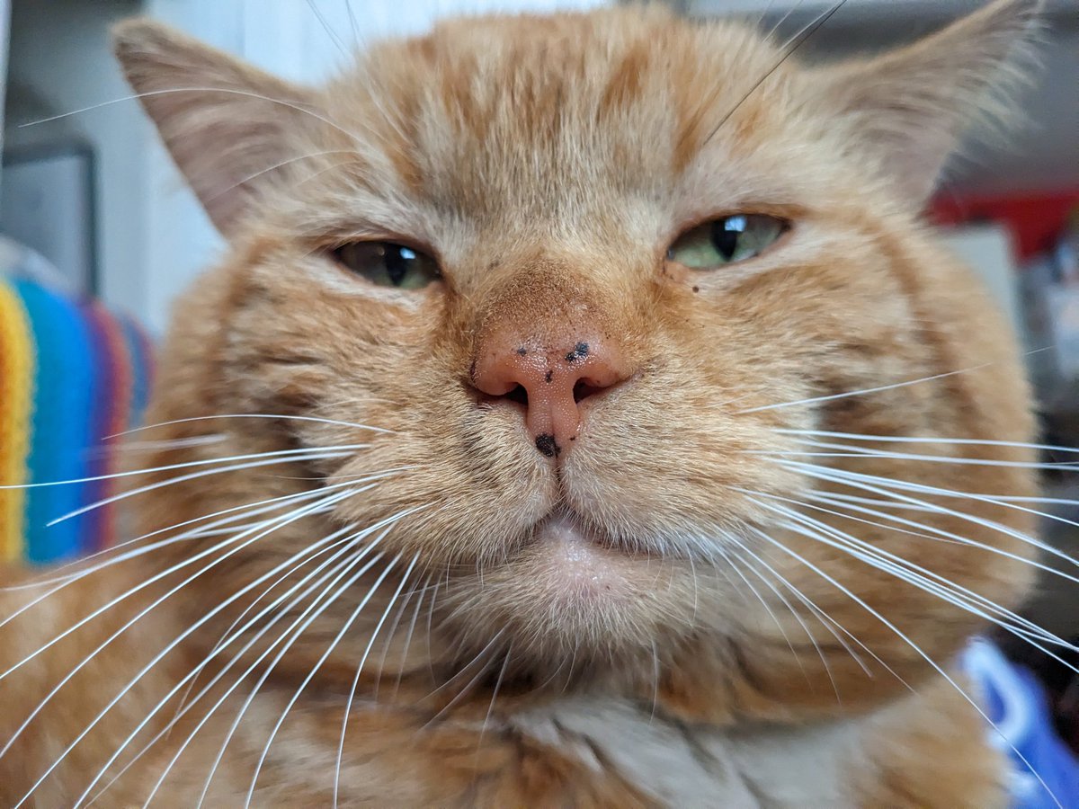 sittign on your lap until tomorrow . clear your calender