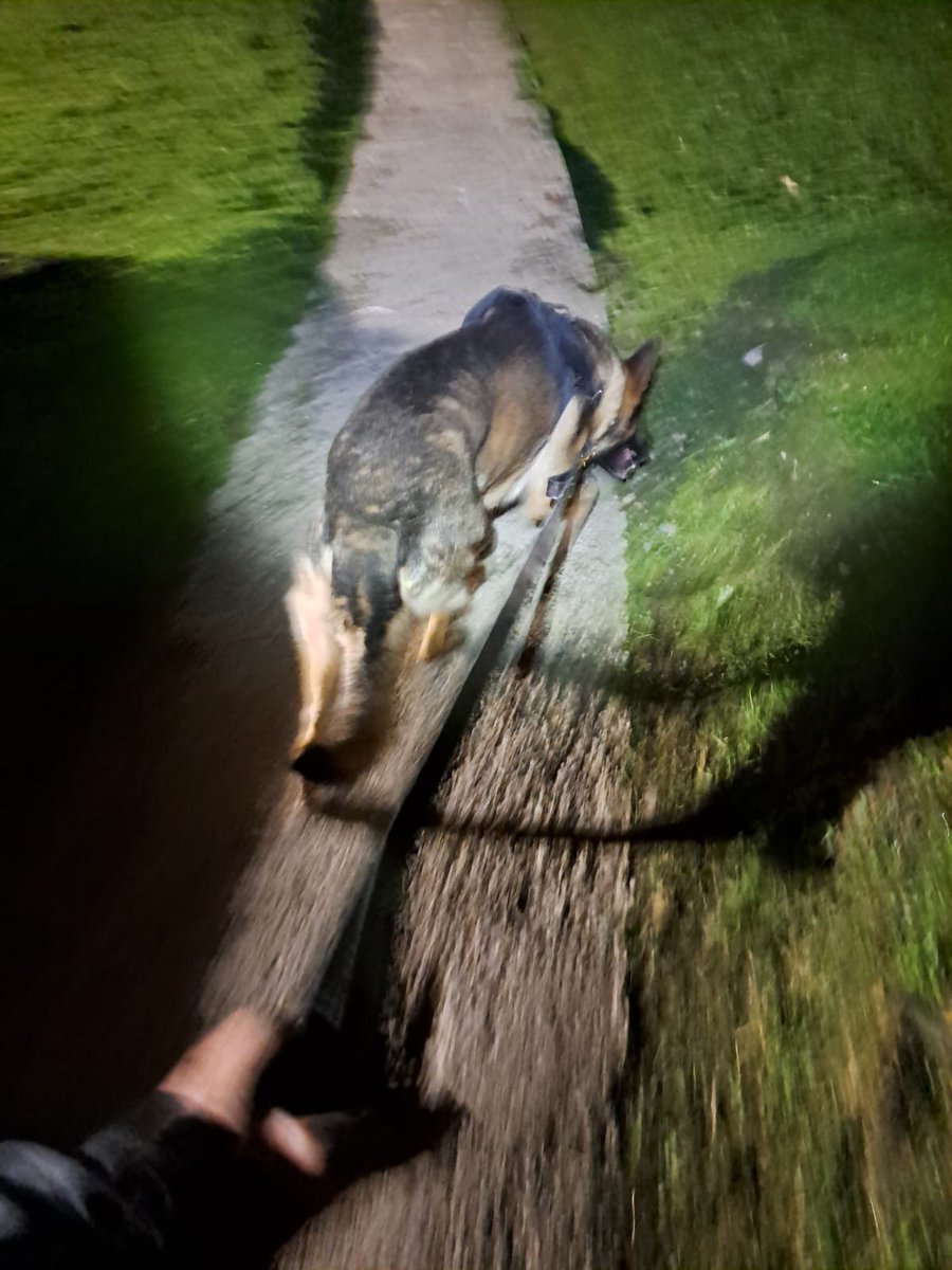 A vulnerable person went missing from a care home overnight, thankfully PD Nero was able to use his skills to track them down and get them the help they required #policedogs