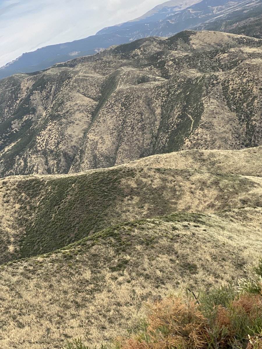 Looking out from the top of Texas Canyon Hotshots’ PT hike. 
What do you notice? And what can you immediately determine just by a quick look at this one picture, with no other info?