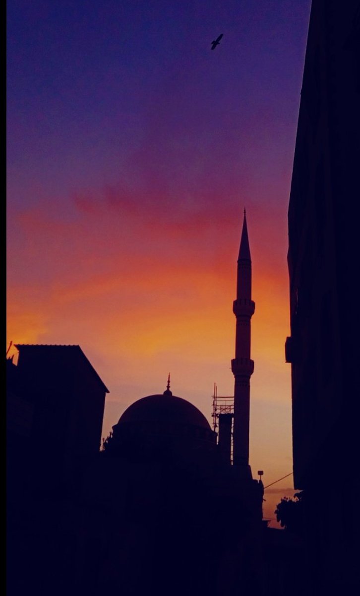 Ey rabbim  senin razı olmadığın  her şeye karşı nefretimi arttır.