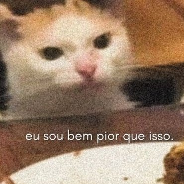 Minha mãe: Tu puxou a raça ruim do teu pai!
Eu: