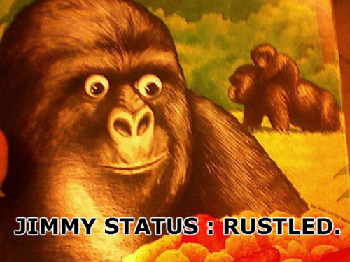 jimmiesonx's tweet photo. consider your $JIMMIES rustled https://t.co/8parhtuKi6
