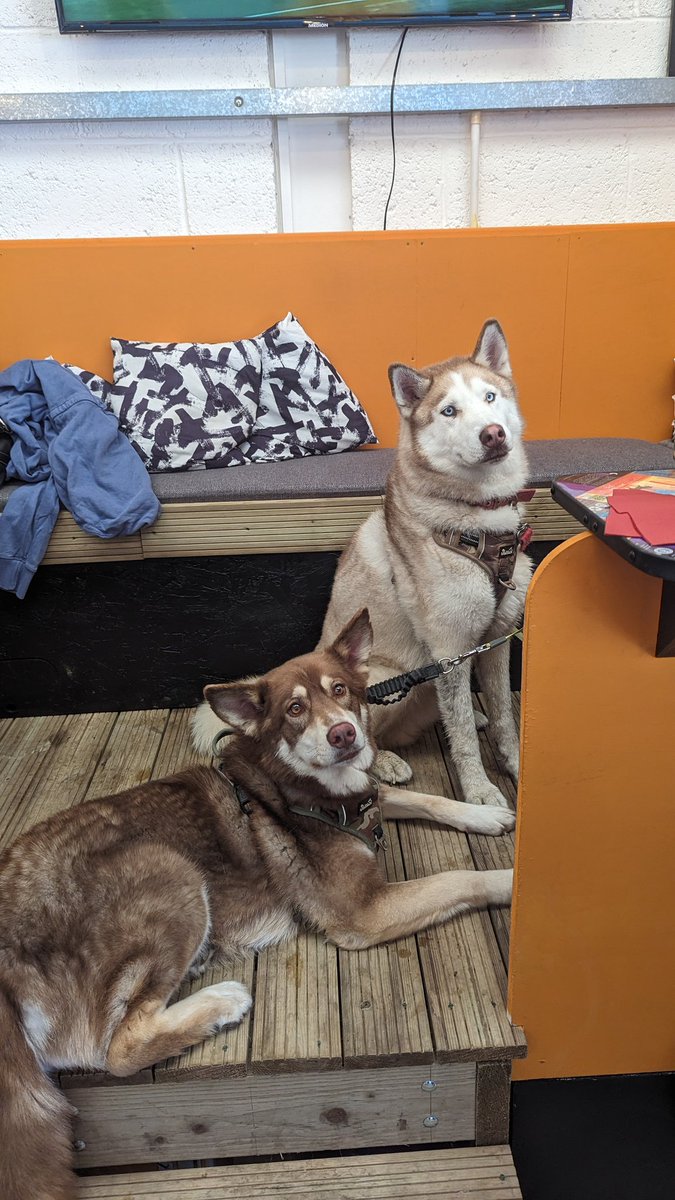 rcads's tweet image. Mega birthday celebrations at our tapyard - cheers to all for coming down! @ElusiveBrew