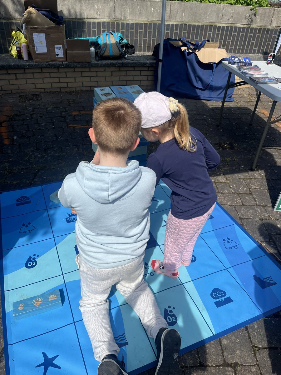 Stronger Shores tweet media