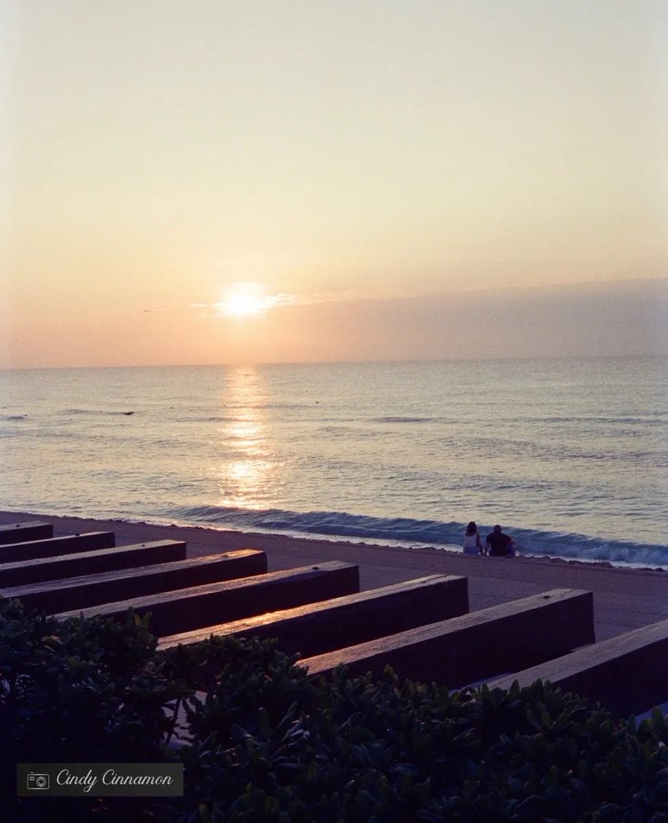 Cindy_Cinnamon's tweet photo. Qu’est-ce que cette photo vous inspire?

Cindy Cinnamon Photographie
https://t.co/g7SV9JrYvu
Rollei B35
Flic Film Vision3 500T

#KodakVision3 #ECN2 #Classic #Rollei #RolleiB35 #35mm #FlicFilm #ColorFilm #FlicFilm #Kodak #Vision3 #Vision3500T #Sunrise #LevéduSoleil #Cancun #Mexico https://t.co/nEjfvonzjU