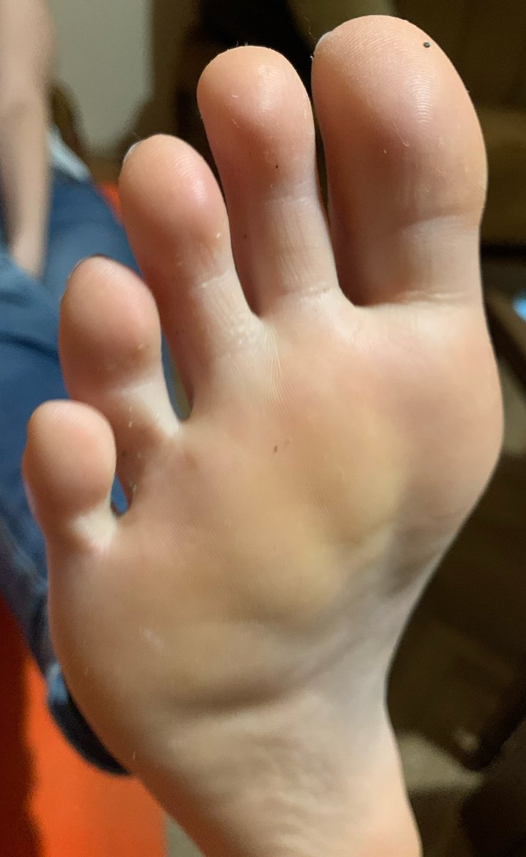 yourgoddessrina's tweet photo. This is what all your dreams are made of. Beg me to sniff it. https://t.co/NGuyKajwGb