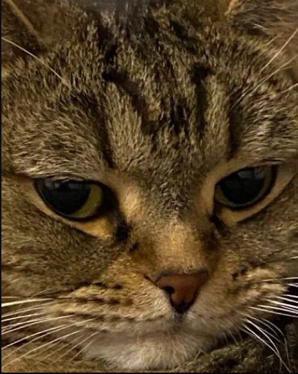 Не успел подать показания счётчиков