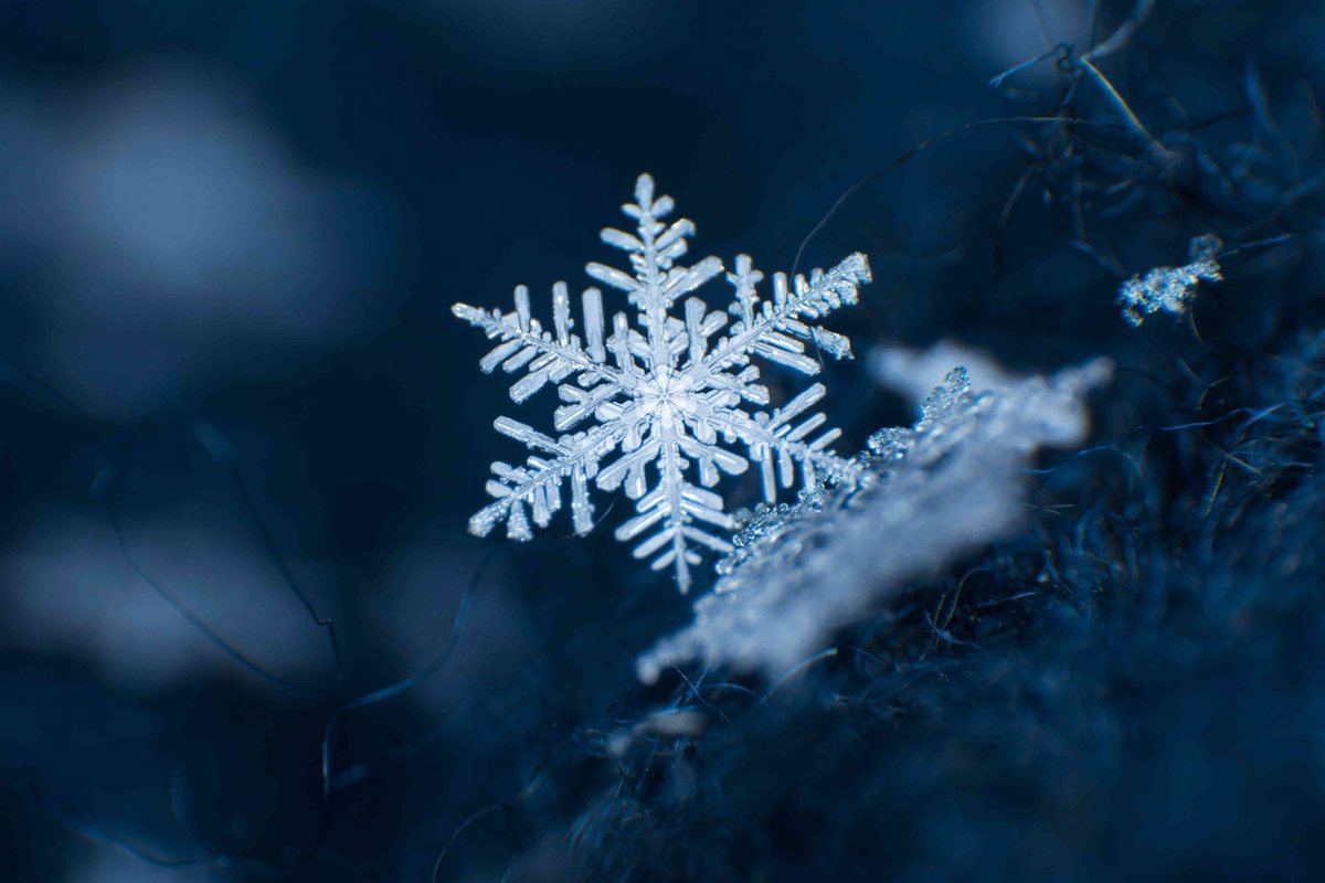 "Snowflakes are a symbol of that first gentle step in educating others and ourselves."
-Unknown

#quotetime #snowflakes