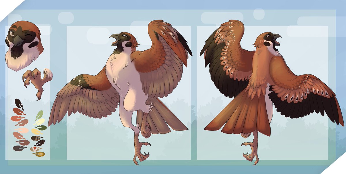 FloofAngel's tweet photo. reference sheet comm for carter1215 of their bird character https://t.co/0q5q5DbeWo