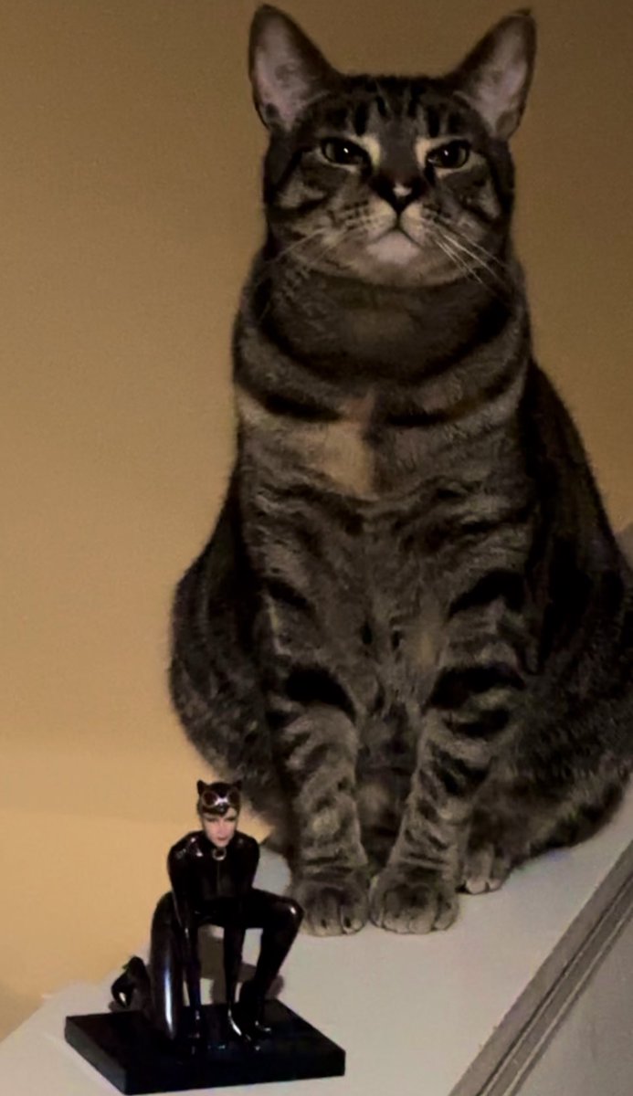 valkmommy_brynn's tweet photo. Cat woman, woman cat https://t.co/5xd0DYcgco