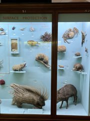 Horniman Museum and Gardens Forest Hill London
