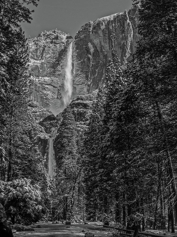 Yosemite Falls in Black and White III pixels.com/featured/yosem… #YosemiteFallsinBlackandWhiteIII #Buyintoart #BillGallagherPhotography #AYearForArt #YosemiteFalls #YosemiteValley #Yosemite #waterfall #nature #BillGallagher