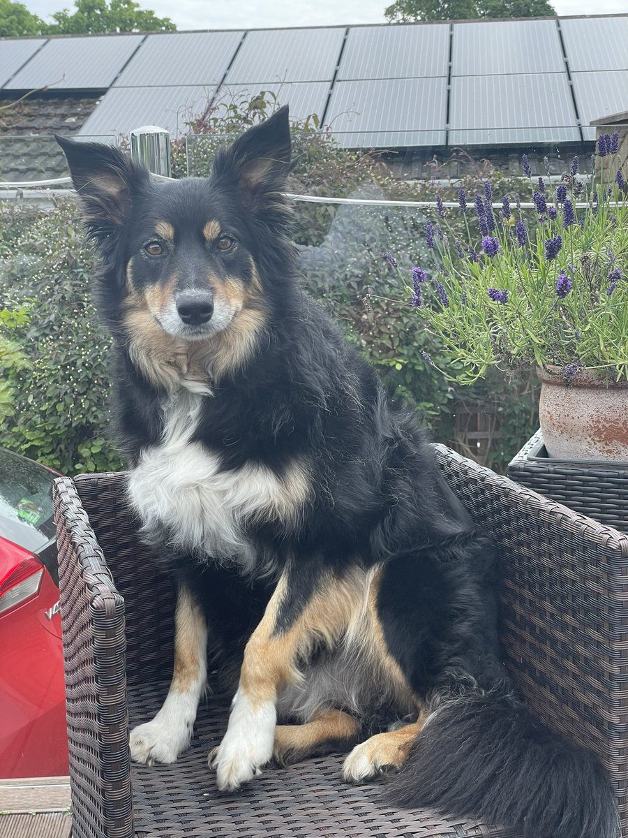 Doing our best posing for photos 🤩❤️🐾